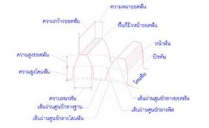 เฟืองตรง  (Spur Gear)