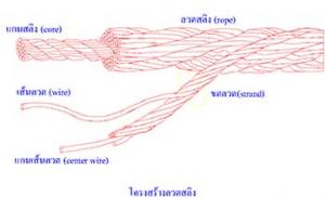 ลวดสลิง (Wire Rope)