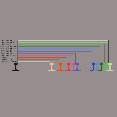 ขนาดความกว้างของรางรถไฟ (Railway Gauge)